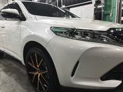 ボディコーティング